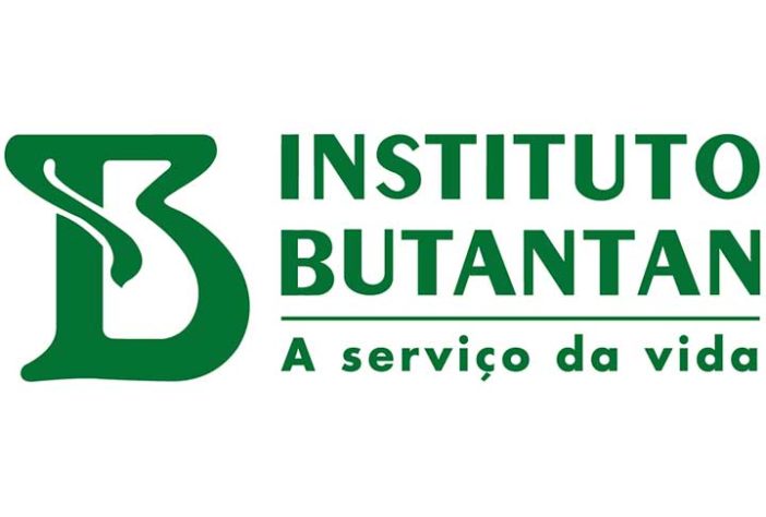 Dengue no Brasil