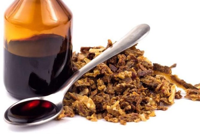 Própolis: produto ganhou fama como aliado da saúde e da imunidade