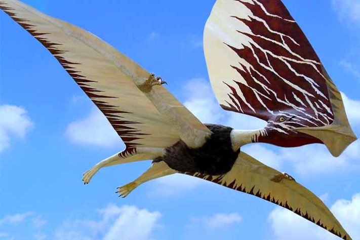 Aves pré-históricas