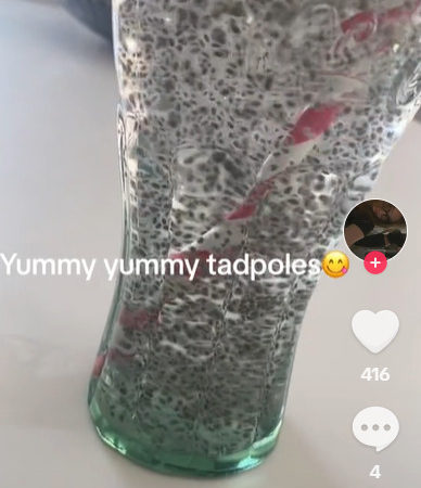 Água de girino: Sucesso no TikTok , saiba se a bebida é segura