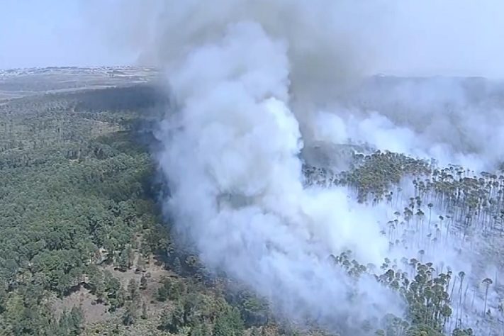 Incêndio na Floresta Nacional de Brasília