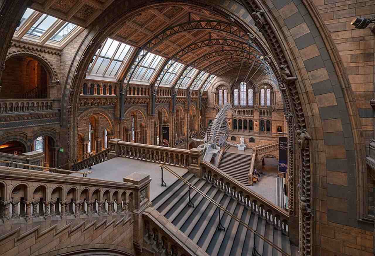 Museu de História Natural (Natural History Museum) - Descrição: Inaugurado em 1881, o Museu de História Natural é famoso por sua arquitetura vitoriana e vastas coleções, incluindo fósseis de dinossauros e a icônica réplica do esqueleto de uma baleia azul - Localização: South Kensington - Referências Históricas: O museu foi criado a partir da coleção de espécimes do Museu Britânico-Julian Herzog/Wikimedia Commons