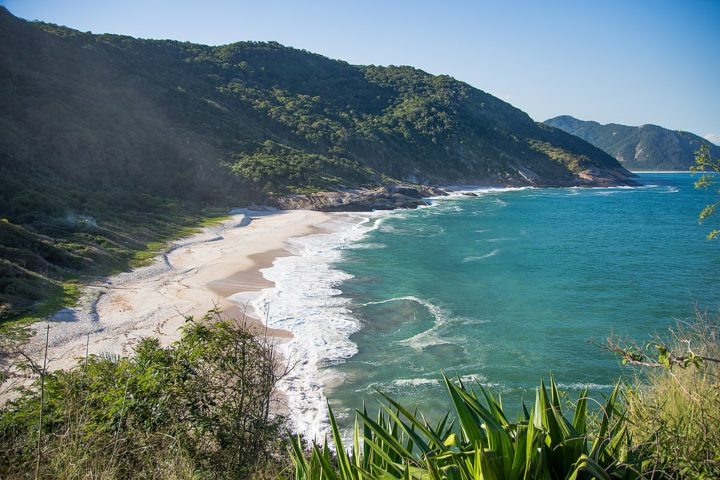 Praia da Daniela (SC): Em Florianópolis, é uma praia de águas mornas e sem ondas, perfeita para crianças pequenas e idosos.
-wikimedia commons Daniela Lopes Segadilha