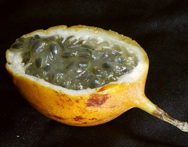 Frutas