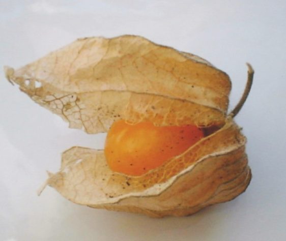 Frutas