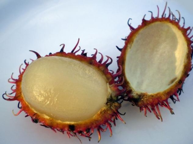 Frutas
