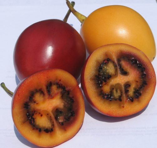 Frutas