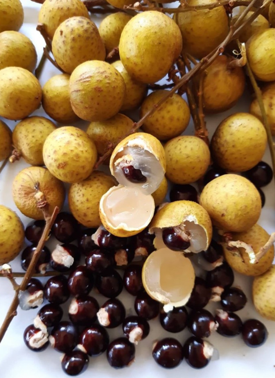 A fruta é pequena e redonda, com 1,5 a 2,5 cm de diâmetro. Tem casca fina, de cor marrom-amarelada ou bege. A polpa é translúcida, suculenta e branca, envolvendo uma semente única, que um olho. Daí o nome "olho-de-dragão". Tem sabor doce, com notas suaves de mel e leve aroma floral. - Ringer wikimedia commons 