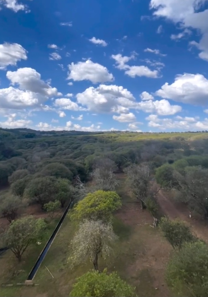 O então pedreiro morava em Nova Fátima, povoado de Hidrolândia, e fazia feiras em Goiânia, recém criada à época. Ao perceber o potencial de crescimento da capital planejada, decidiu investir na plantação de jabuticaba.