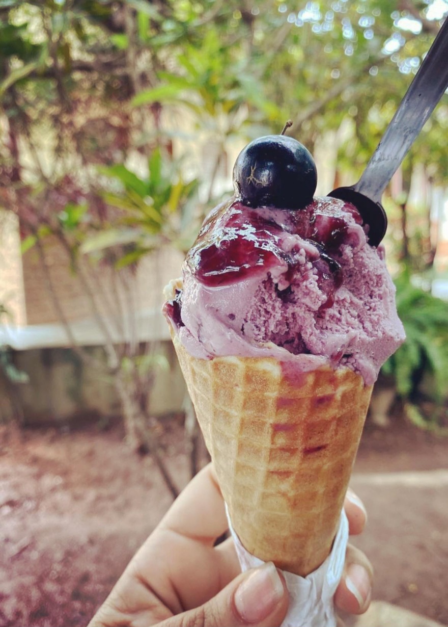 Ao visitar a Fazenda Jabuticabal, além da fruta propriamente dita, tirada diretamente do pé, é possível experimentar uma porção de derivados dela. Caipirinha, sorvete, doce, geleia, capuccino, cachaça e até pasta para churrasco.