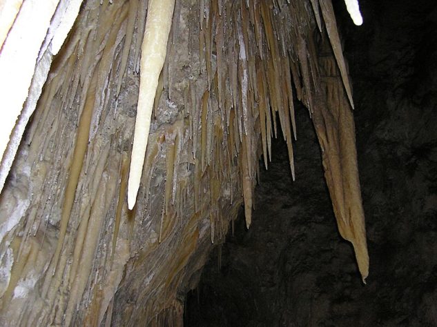 Cavernas