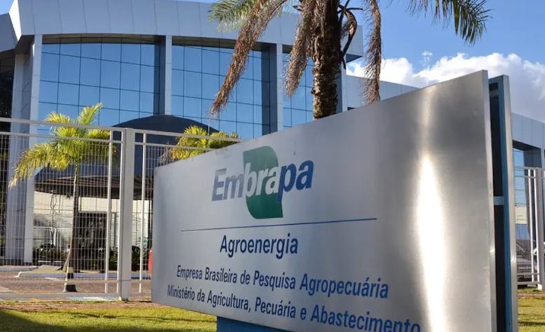 Pragas que devastam plantações