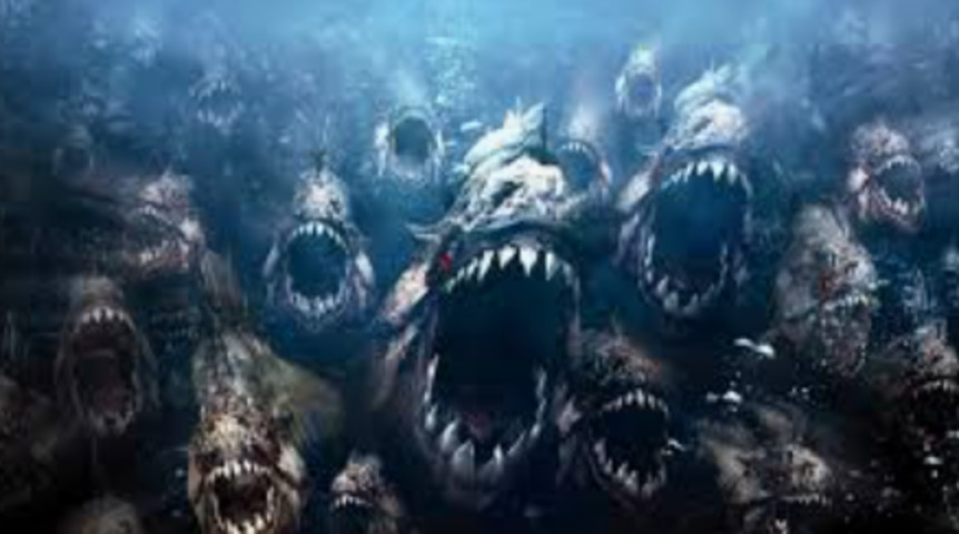 A reputação aterrorizante das piranhas foi amplificada por filmes e histórias sensacionalistas que mostravam cardumes atacando animais grandes ou até mesmo seres humanos.