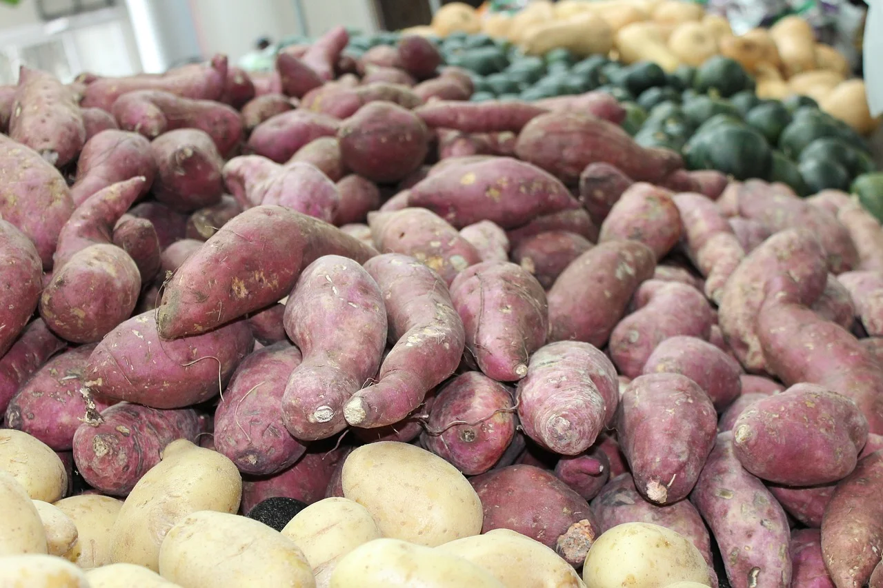 Nutritiva e versátil, batata-doce surpreende ao render até suco - Imagem de Daniel Albany por Pixabay

