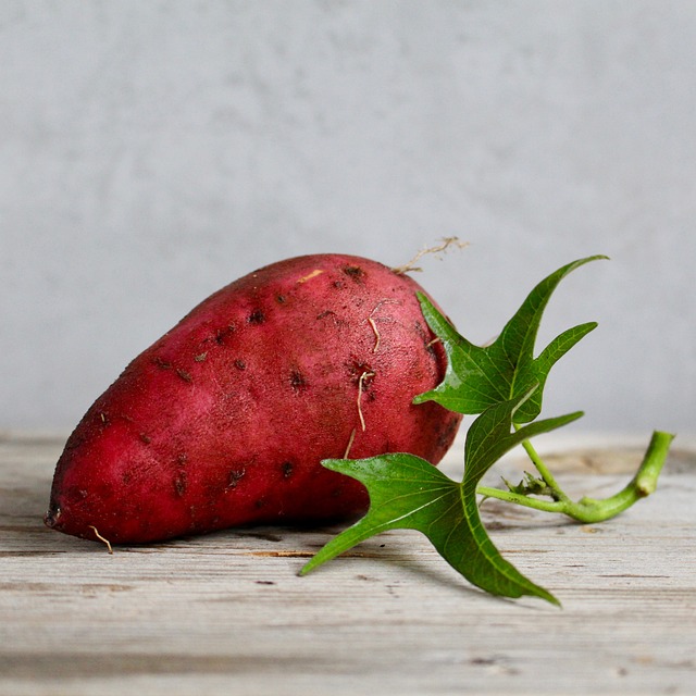Um dos grandes destaques da batata-doce é a sua alta concentração de betacarotenos. Este potente antioxidante, além de conferir a cor vibrante, atua protegendo as células do corpo contra danos causados por radicais livres e inflamações. - Imagem de Beverly Buckley por Pixabay

