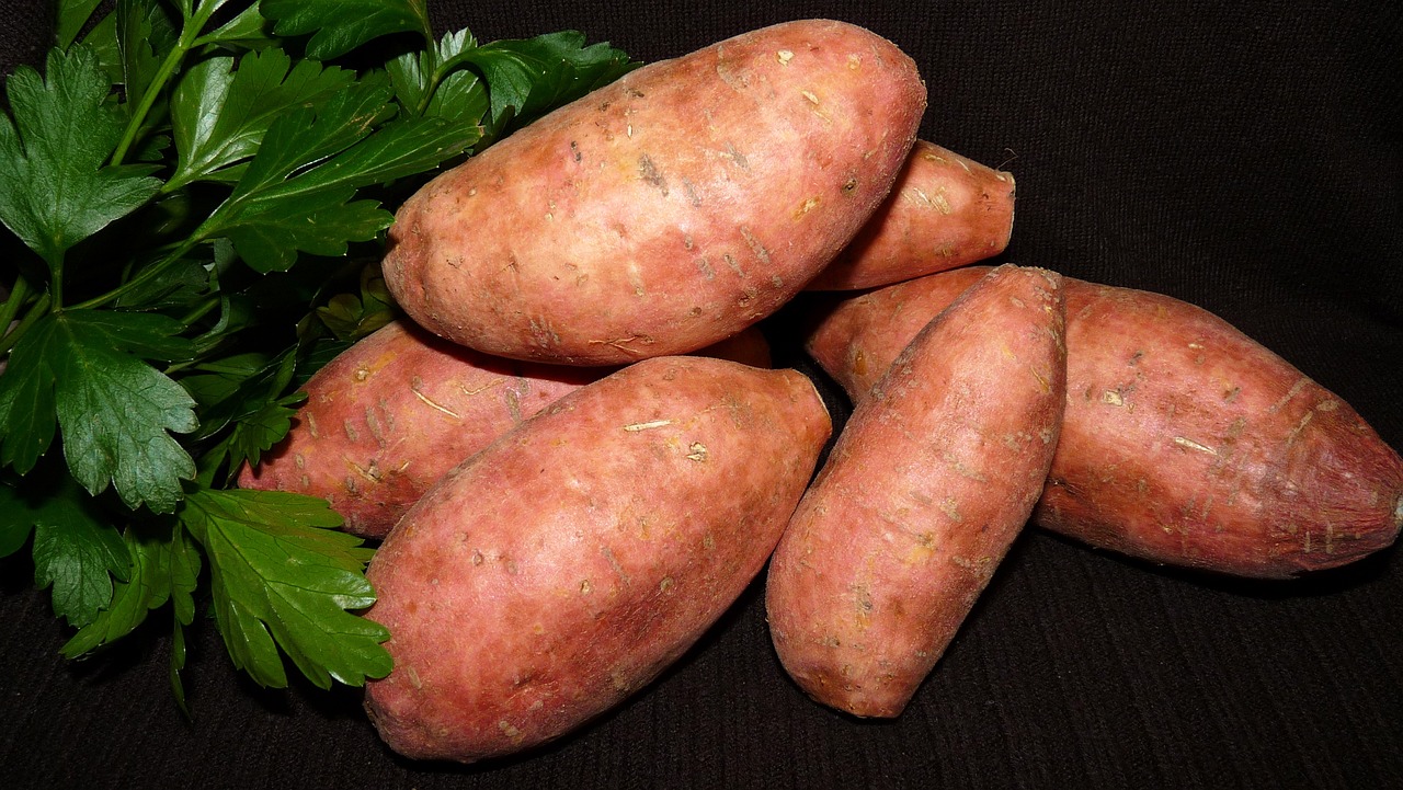 A presença da vitamina C também contribui significativamente para essa proteção, tornando a batata-doce um alimento essencial para quem busca manter a pele saudável e combater os sinais de envelhecimento. - Imagem de Beverly Buckley por Pixabay

