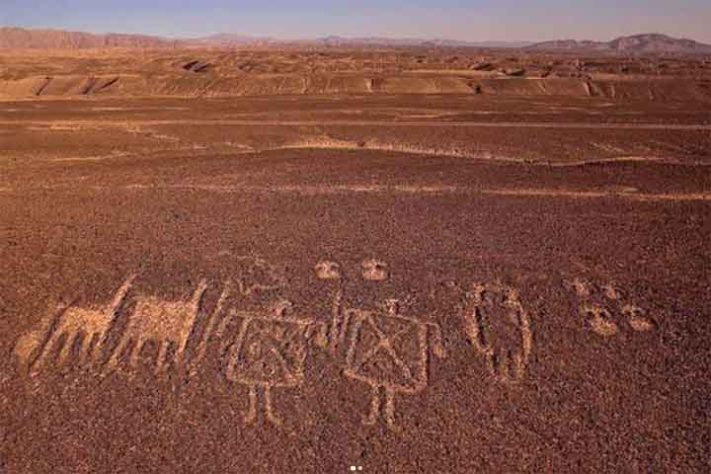 Site: Quebrada dos Pintados Norte-1, Região de Tarapacá. Período: Períodos Atrasados (ca. 1000 AP a 500 AP) - Geoglifos milenares - Instagram @fundacion_desierto_atacama