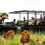 KRUGER NATIONAL PARK (Mpumalanga, África do Sul) - Os melhores safáris do mundo - Divulgação