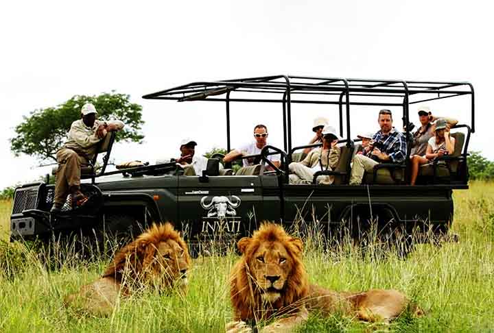 KRUGER NATIONAL PARK (Mpumalanga, África do Sul) - Os melhores safáris do mundo - Divulgação