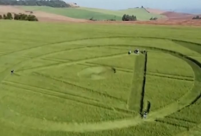 Agroglifo misterioso surge em plantação em SC
