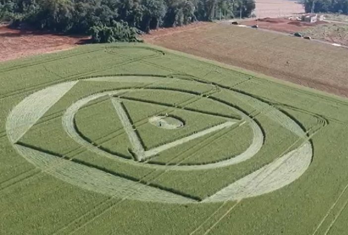 Agroglifo misterioso surge em plantação em SC