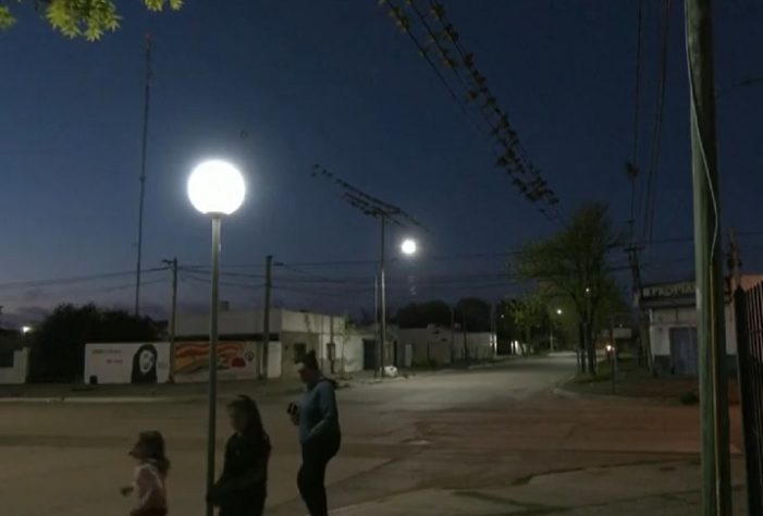 Invasão de papagaios causa transtorno em cidade da Argentina