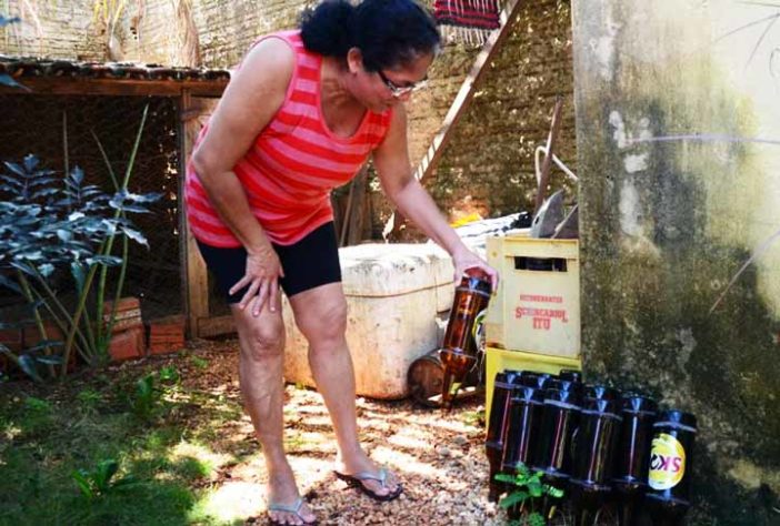 Como combater mosquitos