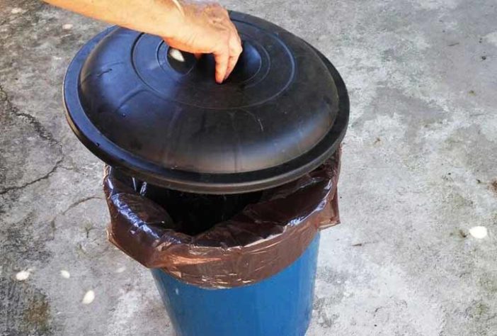 Como combater mosquitos