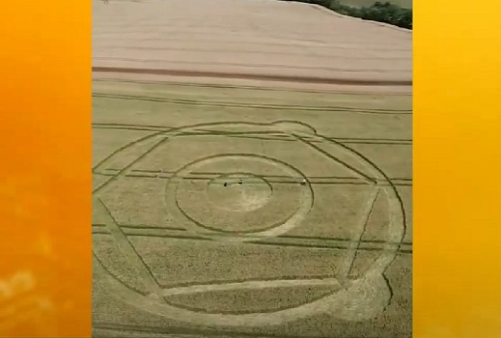 Agroglifo misterioso surge em plantação em SC