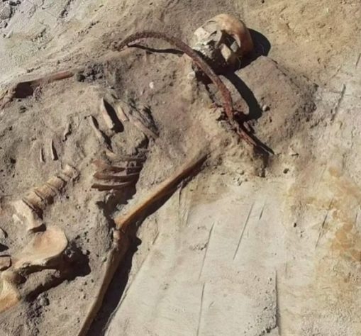 Arqueólogos desenterram corpo de jovem 'vampira' da Polônia - Zosia