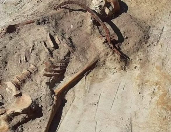 Foice no pescoço e cadeado no pé: arqueólogos encontram mulher ‘vampira’ na Polônia