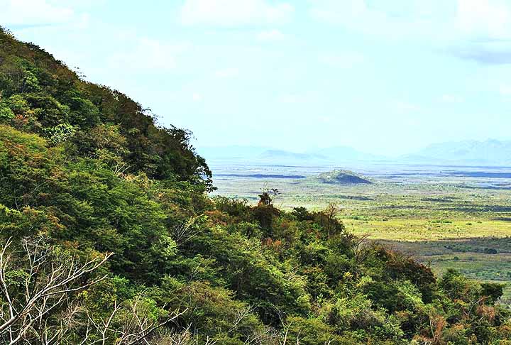 Uma das maravilhas do Brasil é justamente a imensa quantidade de espécies de animais. Porém,  algumas delas correm sérios riscos de extinção- Otávio Nogueira/Wikimédia Commons