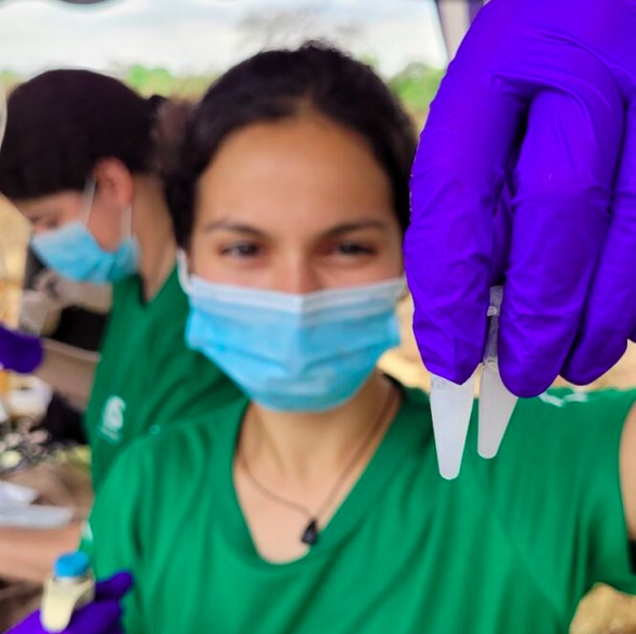 <p>O projeto visa entender a biologia reprodutiva e fisiologia do tatu-canastra. Para isso, emprega técnicas inovadoras de eletroejaculação, permitindo avaliar a qualidade do sêmen do animal.</p>
