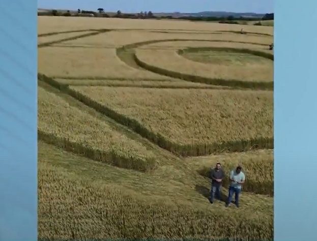 Agroglifo misterioso surge em plantação em SC
