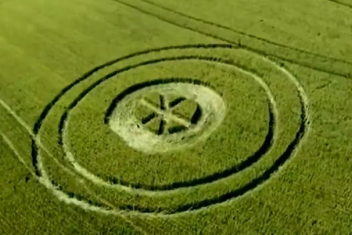 Agroglifo misterioso surge em plantação em SC