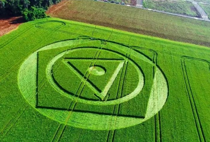 Agroglifo misterioso surge em plantação em SC