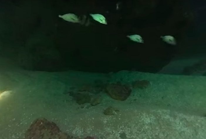 Cavernas submarinas/subaquáticas/submersas são descobertas no Brasil