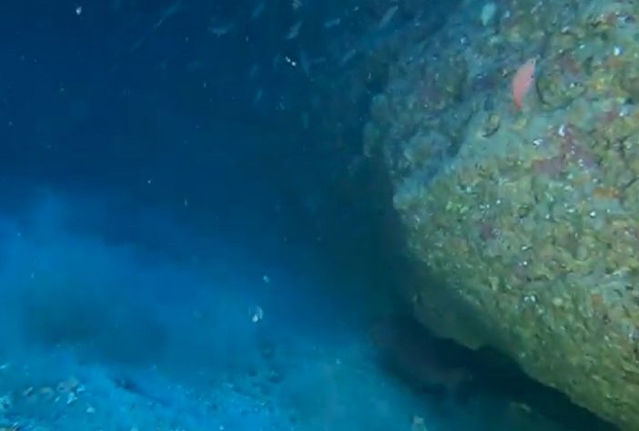 Cavernas submarinas/subaquáticas/submersas são descobertas no Brasil