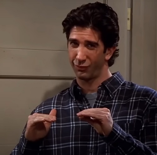 David Schwimmer - Ator e diretor norte-americano nascido em 1966 em Nova Iorque, famoso mundialmente por interpretar Ross Geller na série Friends. Também atuou no cinema, dirige episódios de TV e participa de projetos teatrais e filantrópicos nos Estados Unidos.