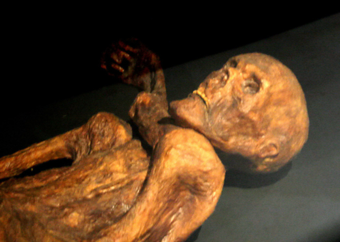 As primeiras evidências da prática da tatuagem datam de cerca de 5 mil anos atrás, com a descoberta da múmia de Ötzi, encontrada nos Alpes europeus, que apresentava mais de 60 tatuagens.
