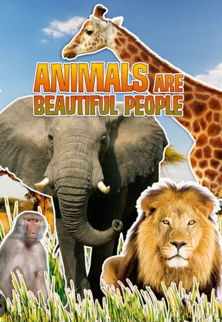 Os efeitos dessa fruta, que brota numa árvore típica da África, foram abordados no documentário "Animals are beautiful people"  , lançado em 1974. Algumas cenas mostram girafas, babuínos , elefantes ,  javalis e outros animais cambaleando após comerem frutas. 