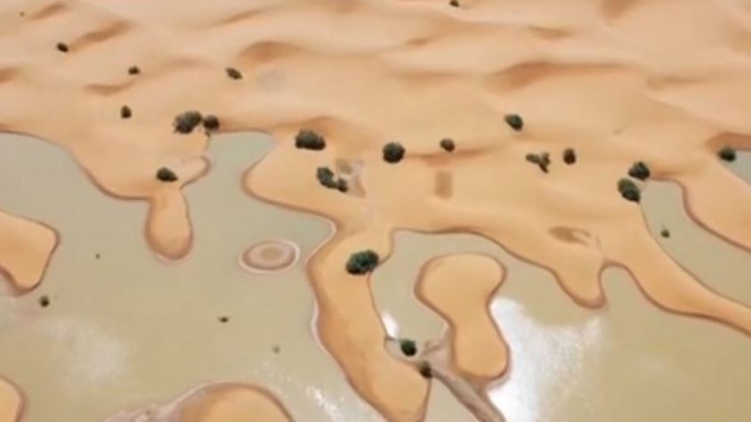 Deserto