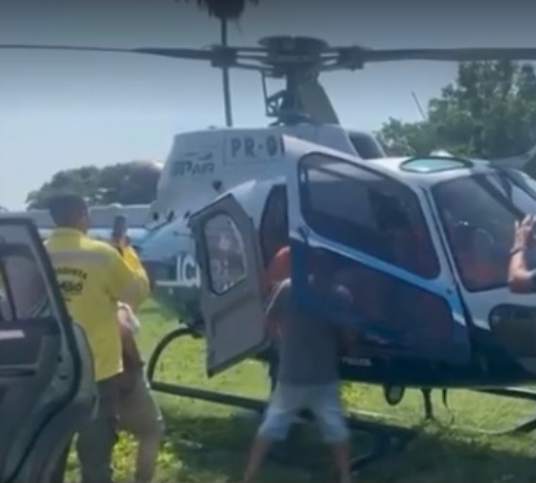 Pra quem não viu: Turista é atacada por búfalo durante passeio no Pantanal