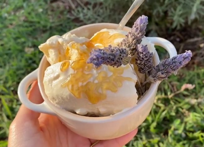Sorvete com lavanda - Culinária/gastronomia - flores comestíveis