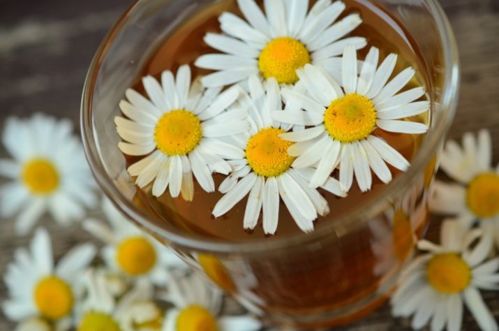 Camomila/chá - Culinária/gastronomia - flores comestíveis