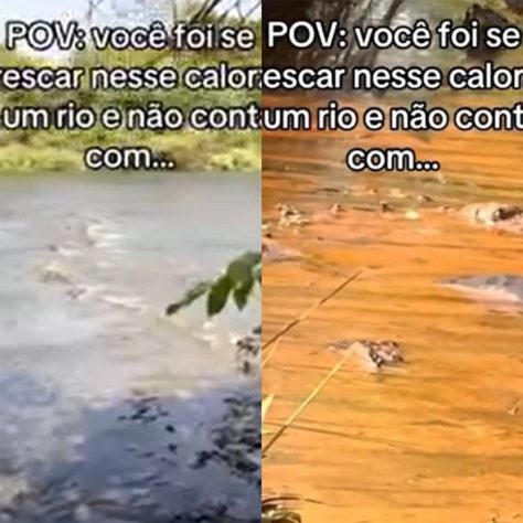Montagem - Grupo de turistas toma susto ao topar com sucuri gigante em rio de Goiás