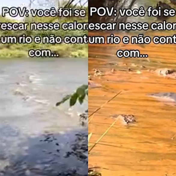 Pra quem não viu: Sucuri gigante dá susto em grupo de turistas em Goiás
