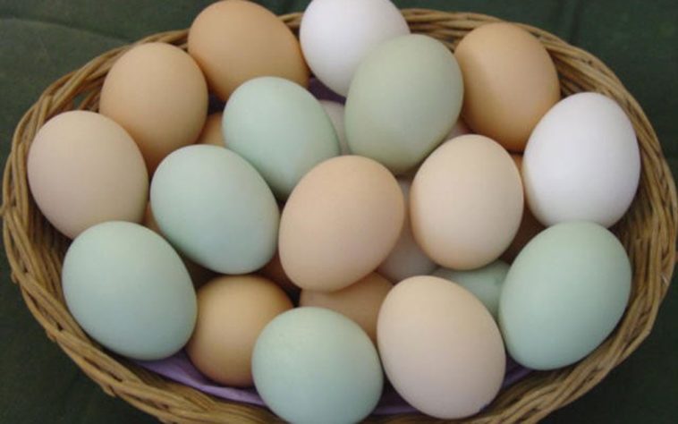 Ovos