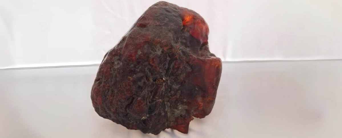 Os especialistas em gemas e minerais atestaram tratar-se de uma resina fossilizada com idade entre 38,5 e 70 milhões de anos. 
