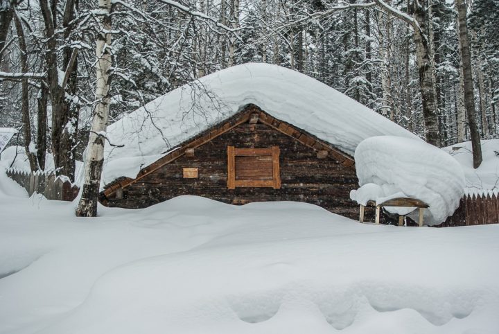 O clima siberiano é caracterizado por invernos extremamente frios, com temperaturas que podem chegar a -50°C em algumas áreas, e verões curtos e frescos.-jacqueline macou por Pixabay